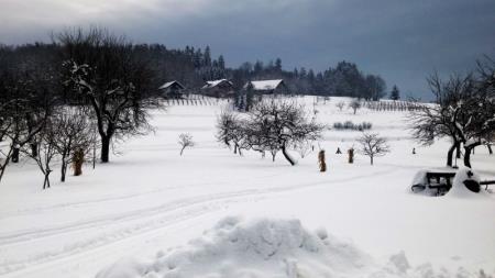 Tekaške proge v Krajevni skupnosti Zagradec